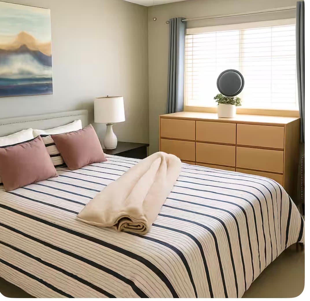 Modern bedroom with striped bedding, mauve pillows, and a light wood dresser under a window.